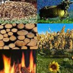 Immagine associata al documento: La Commissione Europea lancia una consultazione on-line sulle biomasse