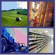 Immagine associata al documento: Esperto di Logistica integrata nel settore agroalimentare 
