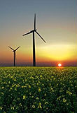 Immagine associata al documento: Puglia - Per le energie rinnovabili. Distretto con 337 aziende