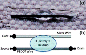 Immagine associata al documento: La fibra tessile che studia il sudore