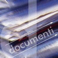 Immagine associata al documento: Accreditamento Organismi Formativi: modifiche e Circolare Esplicativa