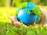 Immagine associata al documento: World Economic Forum: investimenti privati motore della green economy