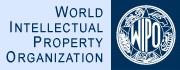 Immagine associata al documento: Pubblicato il Patent Report 2007 del WIPO