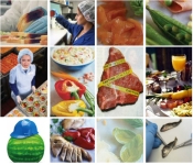 Immagine associata al documento: La sicurezza alimentare - Ricerca, Normativa, Applicazione e Metodi di Controllo - Bari, 15 maggio