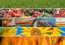 Immagine associata al documento: Agroalimentare, sostegno alla competitivit con il credito d'imposta