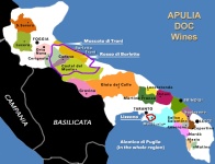 Immagine associata al documento: La Gazzetta del Mezzogiorno - La cucina e i vini di Puglia partono alla conquista delle tavole dei canadesi