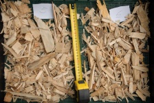 Immagine associata al documento: CNR: quanto  green la biomassa?