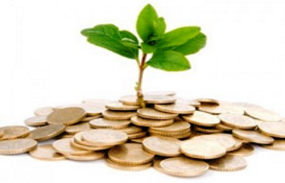 Immagine associata al documento: Aiuti agli investimenti alle micro e piccole imprese - Regolamento n. 28 del 30 dicembre 2013