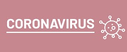 Immagine associata al documento: CORONAVIRUS: attiva sezione sul sito istituzionale della Regione Puglia