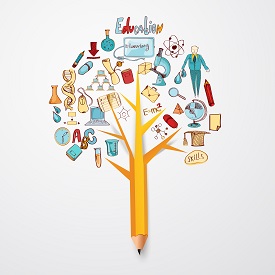 Immagine associata al documento: Avviso Offerta Formativa 2024-2027: comunicazione