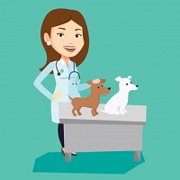 Immagine associata al documento: EURES Puglia - Offerte di lavoro - Veterinari (Svezia)